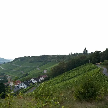 Hotel Felshof - Weingut&gästehaus 3*