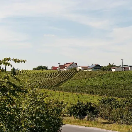 Hotel Felshof - Weingut&gästehaus 3*
