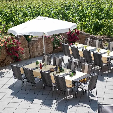 Felshof - Weingut & Gaestehaus Hotel Sommerhausen
