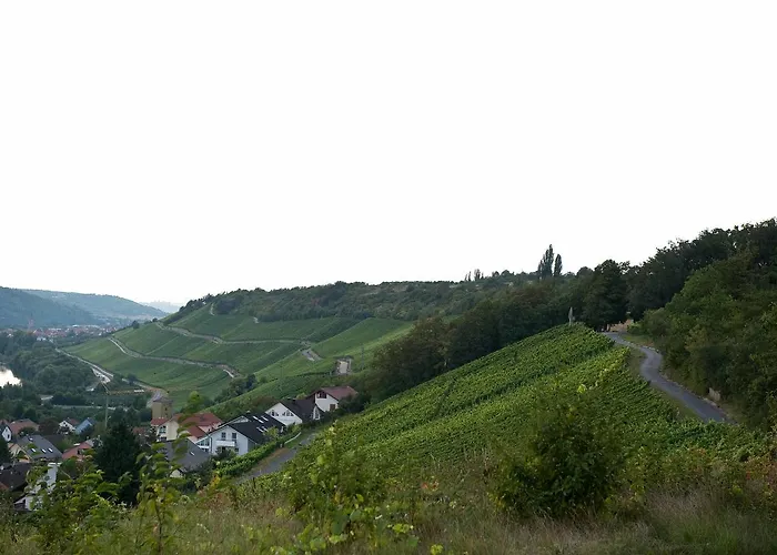 מלון Felshof - Weingut & Gaestehaus 3*