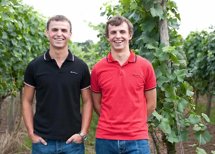 Felshof - Weingut & Gaestehaus 3* שומרהאוזן