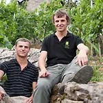 Hotel Felshof - Weingut & Gaestehaus Sommerhausen