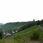 Hotel Felshof - Weingut & Gaestehaus 3*