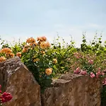 Felshof - Weingut & Gaestehaus 3* Sommerhausen