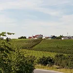 Hotel Felshof - Weingut & Gaestehaus 3*