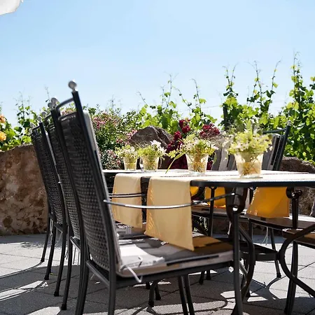 Hotel Felshof - Weingut & Gaestehaus