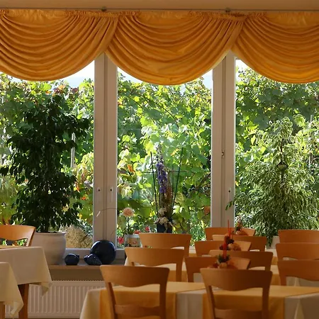 Felshof - Weingut & Gaestehaus Hotel Sommerhausen