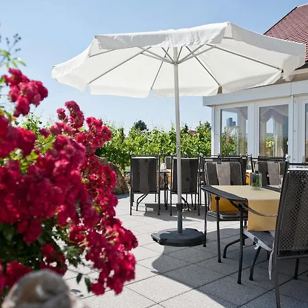 Hotel Felshof - Weingut&gästehaus Sommerhausen