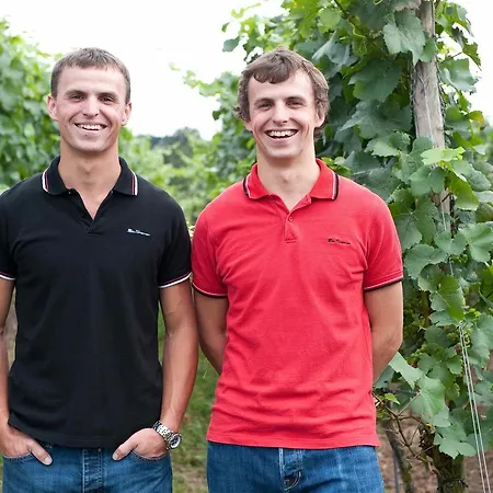 Felshof - Weingut & Gaestehaus 3* Sommerhausen
