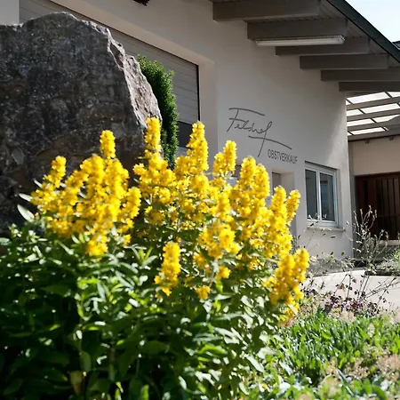Hotel Felshof - Weingut & Gaestehaus 3*