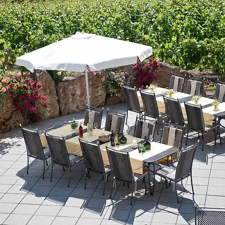 Felshof - Weingut & Gaestehaus Hotel Sommerhausen