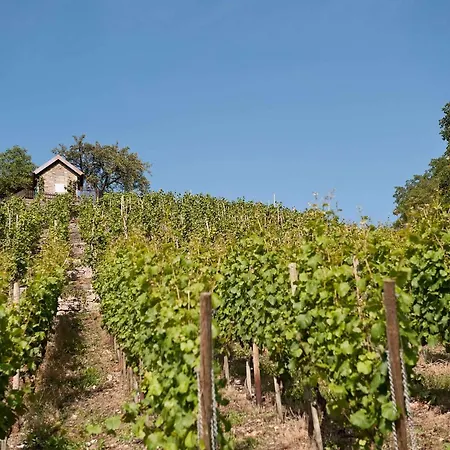 Felshof - Weingut & Gaestehaus