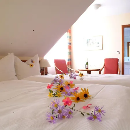 Felshof - Weingut & Gaestehaus Hotel Sommerhausen