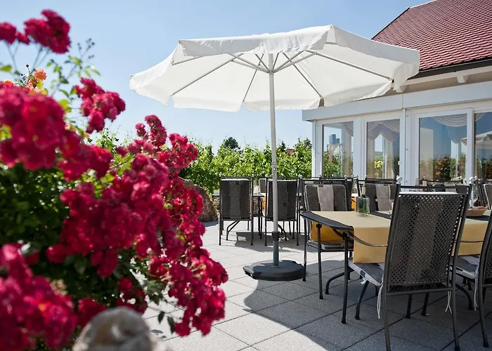 Hotel Felshof - Weingut&gästehaus Sommerhausen