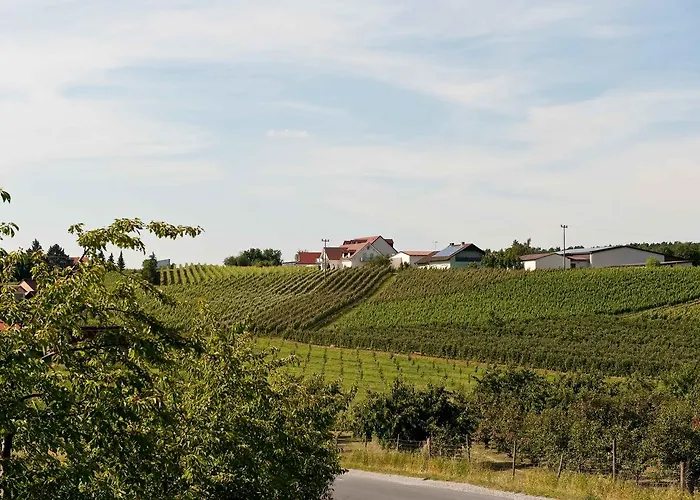 Hotel Felshof - Weingut&gästehaus 3*