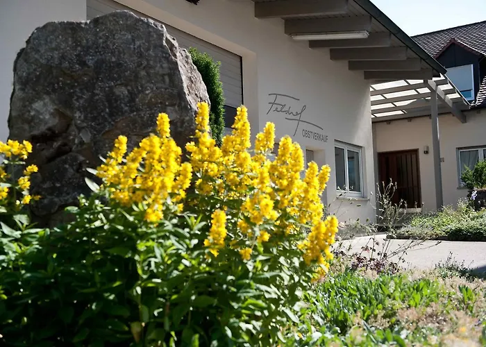 Hotel Felshof - Weingut&gästehaus 3*
